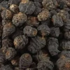 Kép 1/2 - Tigernuts Fekete XXL Tigrismogyoró 12,5kg (14-24mm)