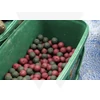 Kép 2/3 - Imperial Baits iBox Vödör (12,5l)