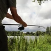 Kép 9/9 - Sonik Vaderx Carp 10' (300cm) 3lbs 2 Részes Bojlis Bot