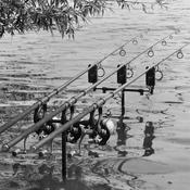Cygnet 3 Rod Buzzer Bars Cygnet 3 Rod Buzzer Bars