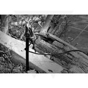 Cygnet Sniper Banksticks Cygnet Sniper Banksticks
