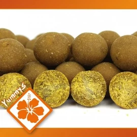 Imperial Baits CarpTrack Osmotic Oriental Spice Boilie (1kg) - 24mm