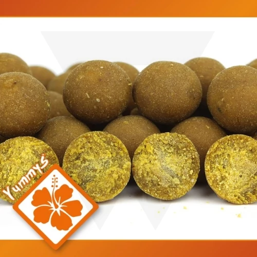 Imperial Baits Carptrack Osmotic Oriental Spice Boilie - Bojli - 20mm/1kg